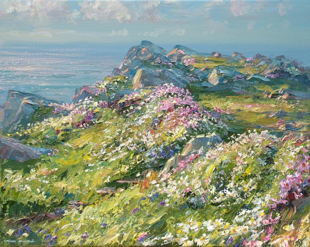 Mark Preston - may flowers, treen cliff